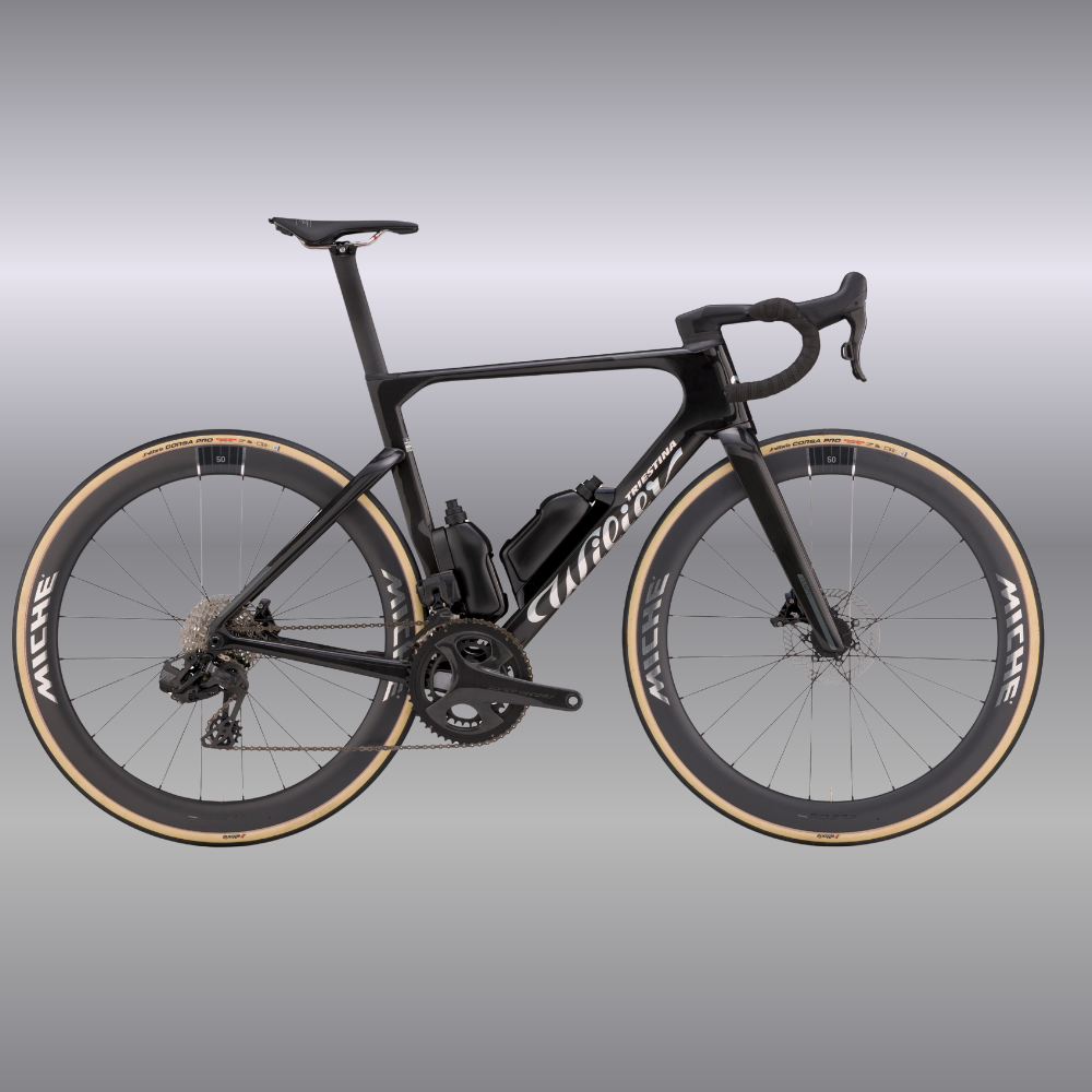 Wilier Filante SLR ID2 Frameset